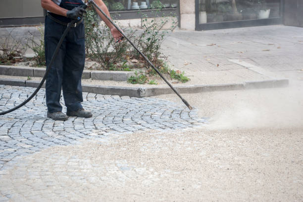 Best Dumpster Area Cleaning  in Marshalltown, IA